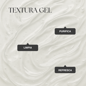 GEL LIMPIADOR PURIFICANTE